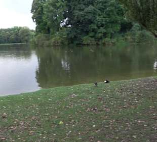 Kleinhesseloher See