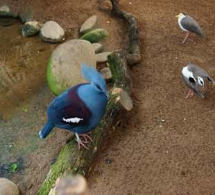 Schöner Zoo in Fuengirola