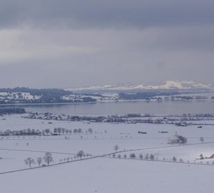 Blick auf den Forggensee