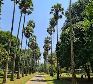 Botanischer Garten