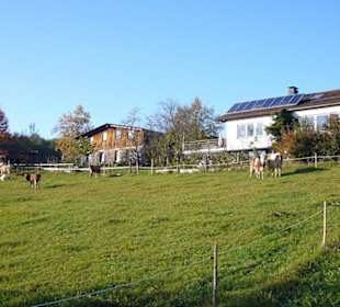 Unmittelbar angrenzend am Birkenhof