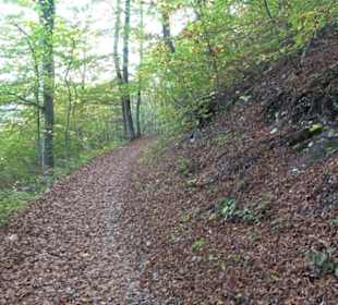 Premiumwanderweg hochgehkeltert Neuffen