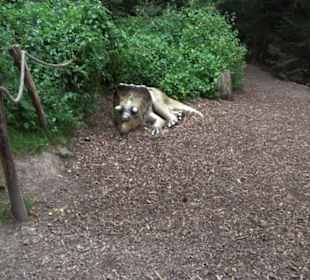 Dinosaurier Museum Altmühltal