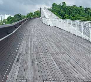 Henderson Waves Bridge