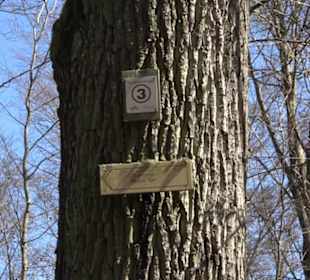 Geschichtlicher Lehrpfad Einsiedel