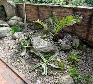 Impressionen aus dem Bibelgarten