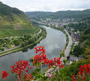 Blick vom Balkon Burg Cochem