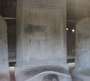 Die Schildkröten Stelen