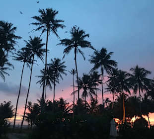 Sonnenuntergang 