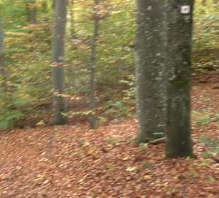 Wandertour "Rund um den Rossberg" Öschingen