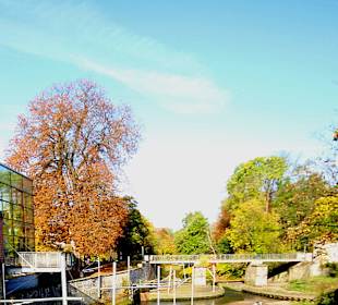 Wildwasserstrecke an der Bischofsmühle