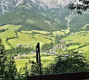 Ausblick