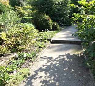 Botanischer Garten München