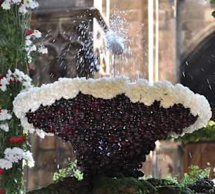 "Das hüpfende Ei" - nur in der Fronleichnamswoche