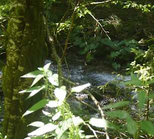 Cascada Valul Miresei