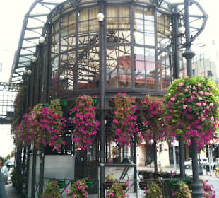 Ulica Piotrkowska w Łodzi