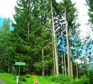 Info am Plöckenpass