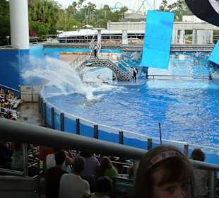 Shamu-Show