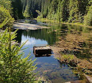Freizeitpark Seewald Enzklösterle Poppeltal