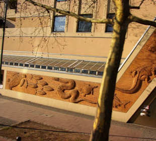 Der neue Zoo-Palast und Umgebung