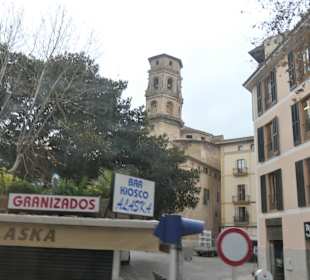 Unterwegs in Palma