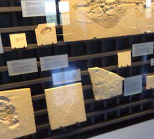 Jura-Museum