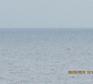 Ausblick von der Klippe des Teufelsmauls