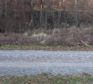 Schönbuch Schaichtal