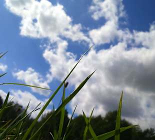 Kampinoski Park Narodowy