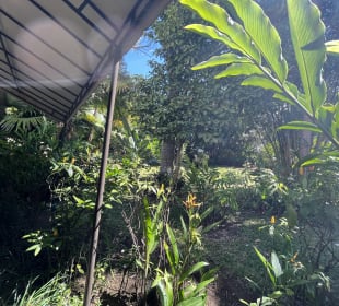 Gartenanlage