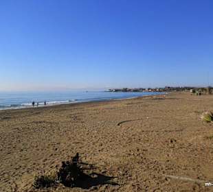 Naturbelassener Oststrand