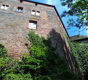 Wanderweg Sandsteinweg La Petite Pierre