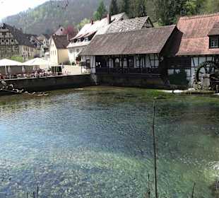 Stadtrundgang Blaubeuren