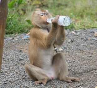 Man hab ich durst!