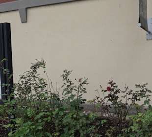 Schlösslepark Kressbronn