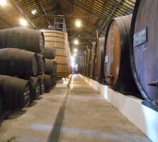 Real Companhia Velha