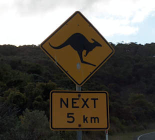 Road Sign