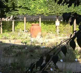 Botanischer Garten München