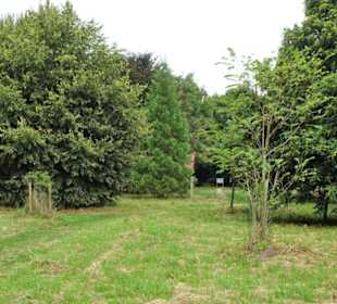 Rundgang durch das Arboretum in Wildeshausen