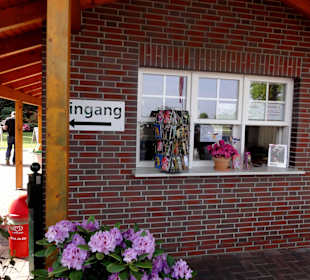 Eingang und Kassenbereich