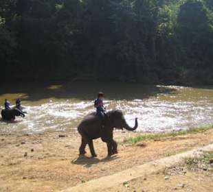 Kleiner Elefant mit seinem Führer.