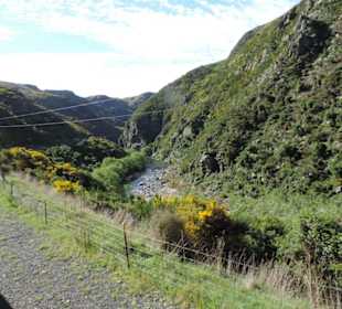 Mitder Taileri Railway durch die Natur Neuseelands