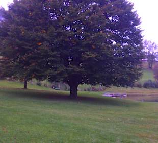 Bildmotiv am Reither See
