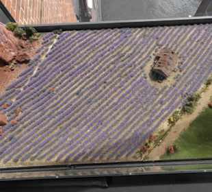 Auf der Brücke nach Südamarike