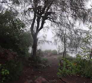 Mount Batur