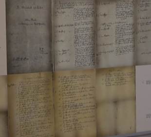 Gestütshof Offenhausen