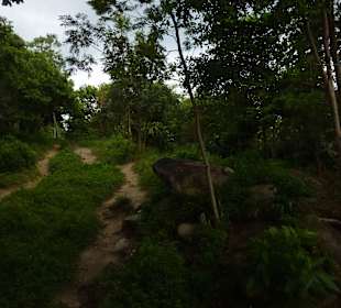 Pfad nach oben zum Aussichtspunkt