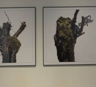 Stadtmuseum Simeonstift