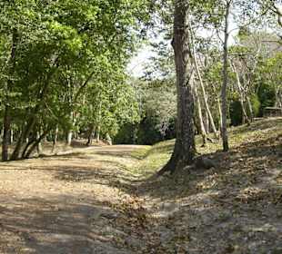 Der Weg zur Mayastätte
