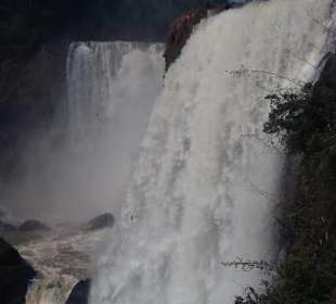 Iguassus kleine Schwester